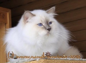 548874_168324716644796_2060694058_n